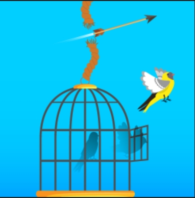 Free Birds